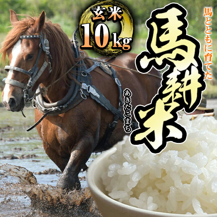 【ふるさと納税】 令和7年産 おすすめ 玄米 馬耕米 あきたこまち 10kg 選べる発送月 / 1月発送 / 2月発送 / 国産 東北 コメ ごはん ご飯 美味しい 馬 農耕馬 ウマ 堆肥 たい肥 こだわり ご当地 産地直送 農家直送 単一原料米 岩手県 滝沢市 送料無料 スタディア