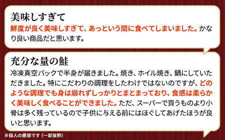 北海道道東産　活き〆時知らず鮭半身切身(小小)約700-900g 北海道 人気 おすすめ さけ 天然【配送不可地域：離島】【1148427】