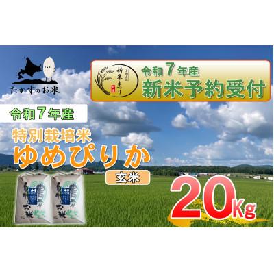 ふるさと納税 鷹栖町 令和7年産新米予約 たかすのお米 特別栽培米 ゆめぴりか 玄米 20kg(10kg×2)