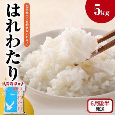 ふるさと納税 五所川原市 【2026年6月後半発送】米 5kg はれわたり (白米) 5キロ 青森県 五所川原市