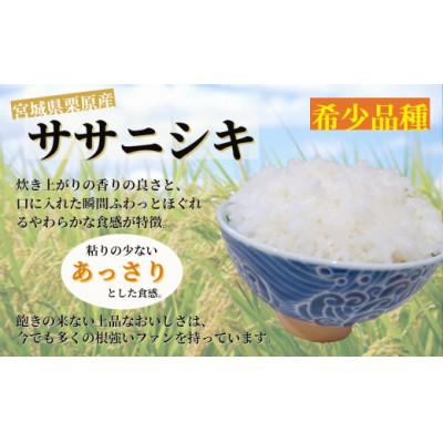 ふるさと納税 栗原市 【令和7年産】宮城栗原産 ササニシキ 白米5kg (5kg×1袋) |  | 01