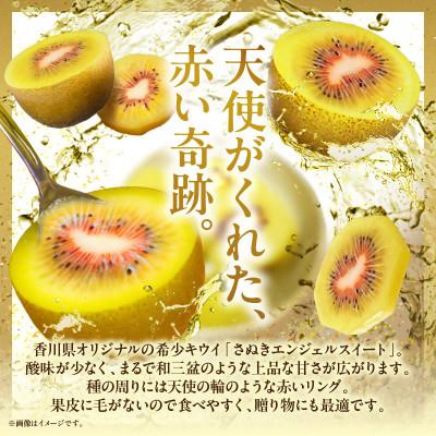 ふるさと納税 三木町 さぬきエンジェルスイートキウイ(小玉)約2kg |  | 03
