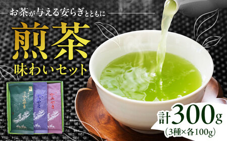 亀山茶・深蒸し煎茶・煎茶味わいセット / 煎茶煎茶煎茶煎茶煎茶煎茶 / 三重茶農業協同組合[AMAG006]