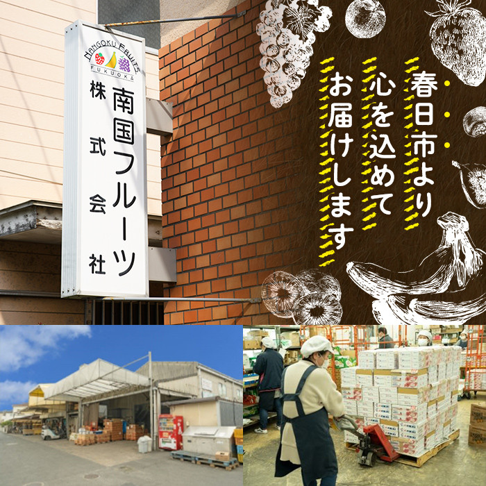 天然熟成天日塩 ピスタチオ(1kg)ピスタチオ 素焼きナッツ おつまみ おやつ 晩酌 常温 常温保存【ksg0085-C】【南国フルーツ】