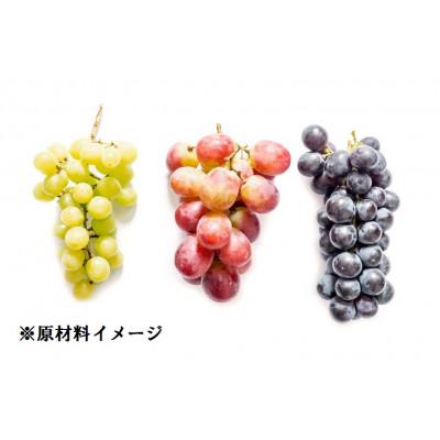 ふるさと納税 中野市 【長野県産】ジュエリーグレープ〔3パック〕〔高級ぶどう3種使用〕〔化学合成添加物・砂糖不使用〕 |  | 02