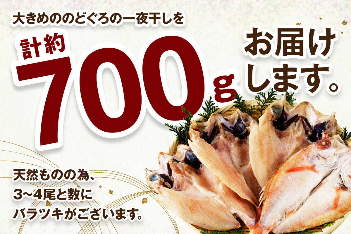 山陰浜田 香住屋のこだわり干物「大きめのどぐろ一夜干し」（3～4尾） 魚介類 のどぐろ 一夜干し 干物 ふるさと納税 のどくろ セット 【658】