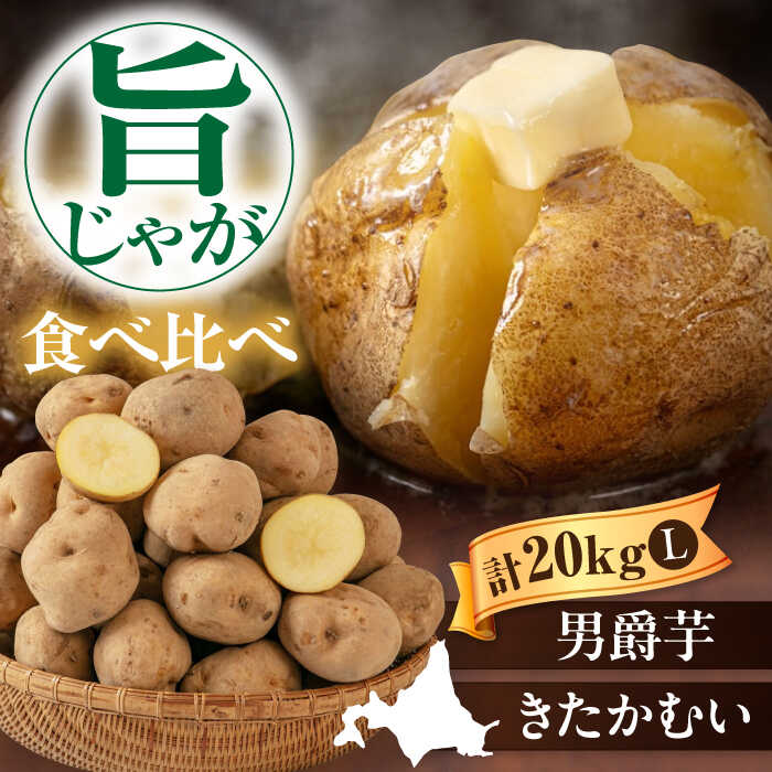 【ふるさと納税】先行予約 じゃがいも 食べ比べセット 20kg（ 男爵芋 きたかむい 各10kg）《喜茂別町》【Aコープようてい】 先行予約 ジャガイモ 男爵芋 きたかむい 季節の野菜 詰め合わせ セット 北海道 北海道産 [AJAK015] 15000 15000円