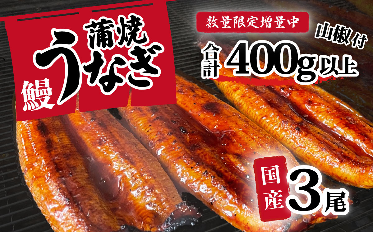 【数量限定増量中】【 訳アリ 】国産うなぎ 蒲焼き 3尾 セット ( 400g ) 大きさ の不揃い 山椒付き ウナギ 鰻 ふぞろい 不揃い うな重 ひつまぶし 人気 茨城 八千代町 ふるさと納税 冷凍 [SF277ya]