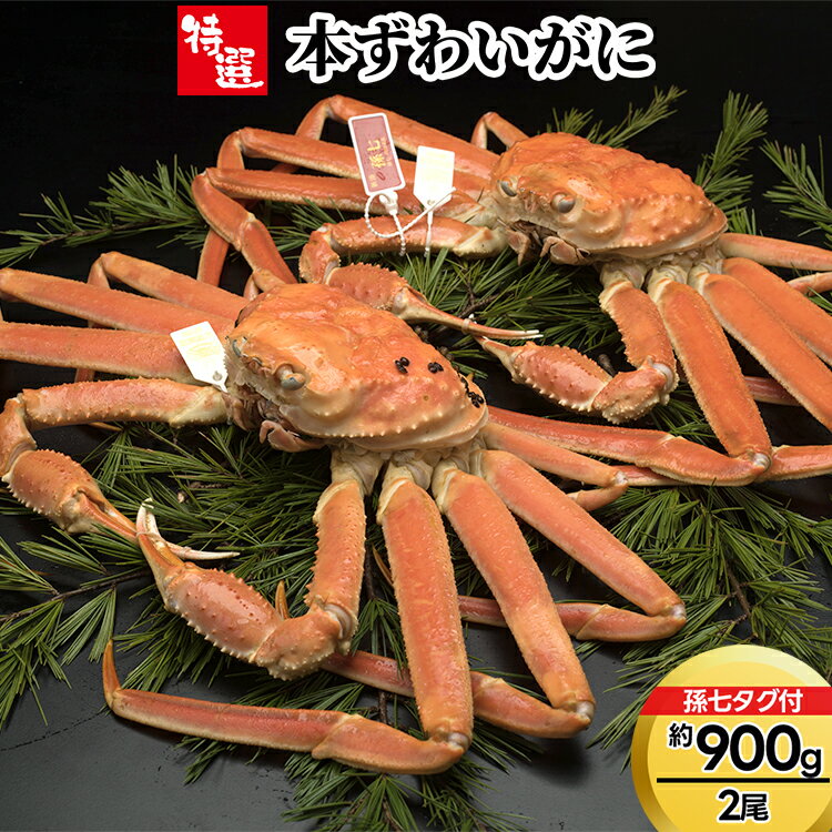【ふるさと納税】【特選】本ずわいがに約900g×2尾（孫七タグ付き）　ずわい蟹 ずわいガニ ズワイガニ ※2026年11月～発送