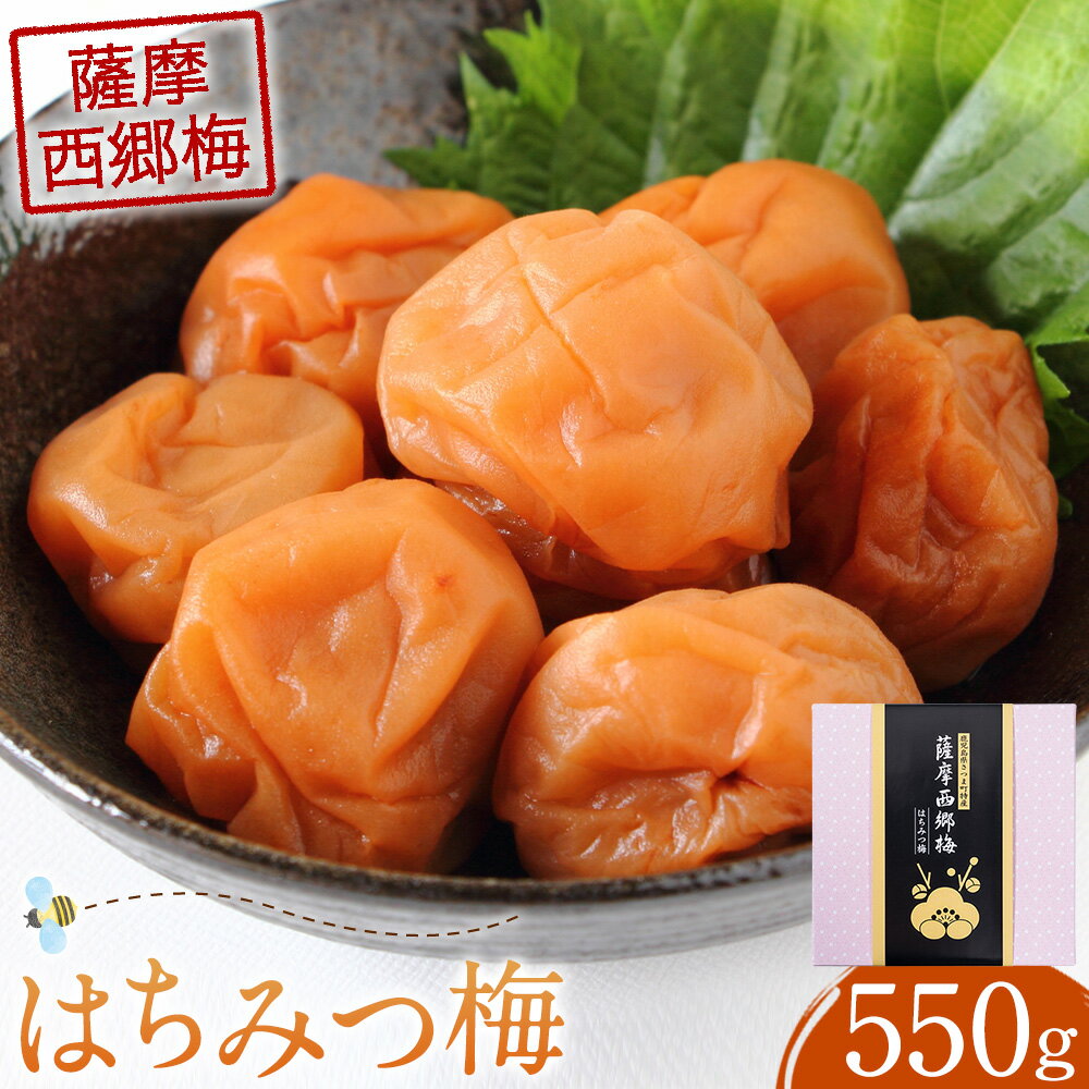 【ふるさと納税】薩摩西郷梅 はちみつ梅 550g 薩摩西郷梅生産組合《30日以内に出荷予定(土日祝除く)》鹿児島県 さつま町 梅干し 梅