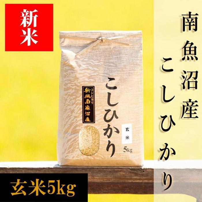 【ふるさと納税】【令和8年産 新米予約】南魚沼産コシヒカリ（玄米）【5kg】【銘柄米 ブランド米 玄米 こしひかり コシヒカリ 魚沼産 新潟米 産地直送 お米 米 こめ コメ ご飯 御飯 ごはん】【2026年10月上旬から1ヶ月以内に順次発送予定】