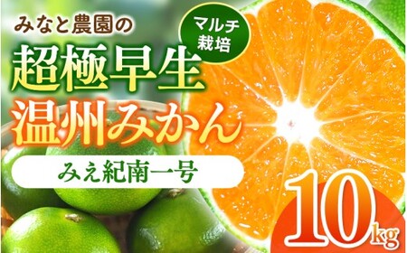 みかん みえ紀南一号 超極早生みかん 約10kg【mntf0002】