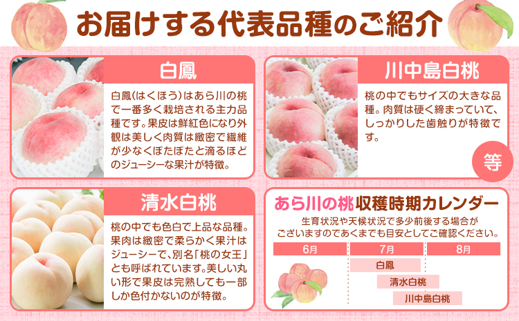 【先行予約】和歌山の厳選白桃【白鳳・清水白桃・川中島白桃 等】化粧箱入り 約2kg 池田鹿蔵農園《7月上旬-8月中旬頃出荷》和歌山県 日高町 厳選 白桃 和歌山県産 白鳳 清水白桃 川中島白桃 桃 も