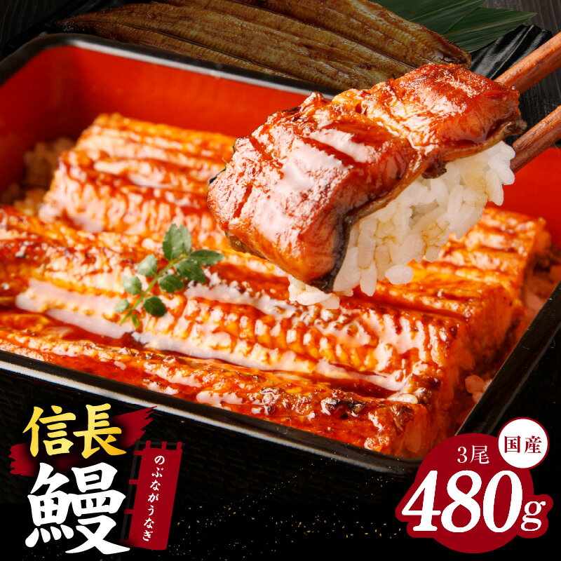 【ふるさと納税】数量限定 うなぎ 160g × 3尾 合計 480g 国産 信長鰻 大サイズ 外はパリッ 中はふんわり 蒲焼き 炭火焼き 無頭 タレ 付き 特製タレ う巻き ひつまぶし うな重 冷凍 お取り寄せグルメ 食品 泉佐野市 送料無料