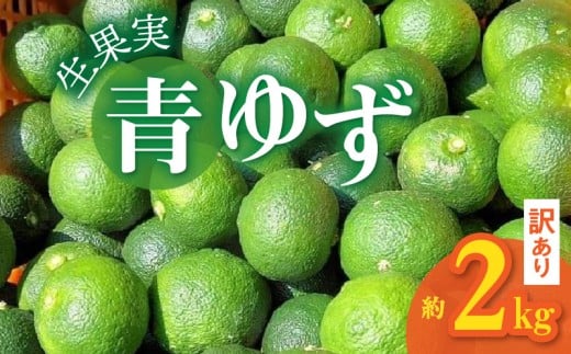 訳あり 青ゆず 生果実 約2kg MM0207