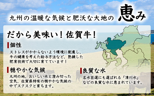 E-122　佐賀牛 切り落とし 500g×4【合計2kg】牛肉 肉 佐賀牛 切り落し 切落し 切りおとし 