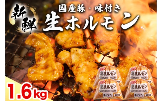 国産豚 味付き 生ホルモン 白(レバーなし) 1600g (400g×4パック) (DV046)