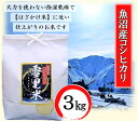 【ふるさと納税】令和6年産 生産者直送！魚沼産コシヒカリ 雪里米（ふるさとまい）精米 3kg　お米・コシヒカリ・新潟県産　お届け：10月上旬より順次発送