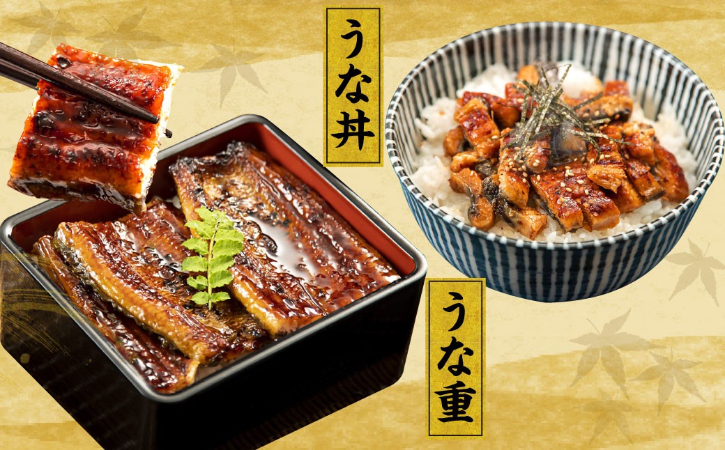 王鉄興業 木曽三川うなぎ大5人前＋きざみ蒲焼