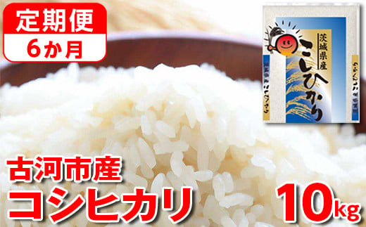 
【定期便 6か月】【新米】令和6年産 古河市産コシヒカリ 10kg（5kg×2袋）◇｜米 コメ こめ ごはん ご飯 ゴハン 白飯 単一米 国産 コシヒカリ こしひかり 10kg 定期便 6ヶ月 6回 茨城県 古河市_DP44
