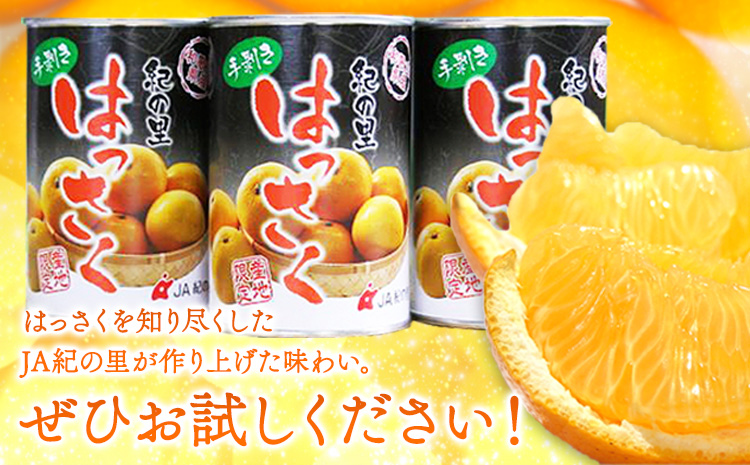 手剥き八朔缶詰(ミックス)450g×8本入紀の里農業協同組合《90日以内に出荷予定(土日祝除く)》---wsk_jak3_30d_24_14000_8h---