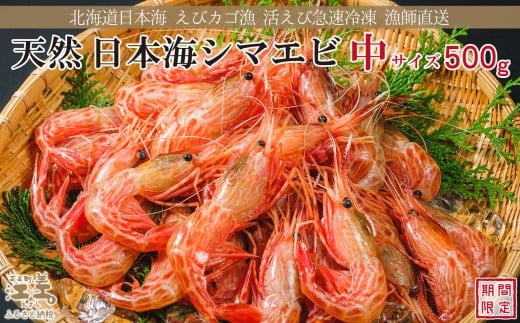【12月中旬以降 順次出荷予定】北海道産 違いが分かる天然日本海シマエビ 中サイズ 500g　色鮮やかで香りよし 濃厚な甘み 食べれば分かる格別の味！　国産　江差近海産　天然もの　エビかご漁師直送　最良品厳選　生食可　お刺身　唐揚げ　海老