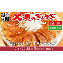 【ふるさと納税】【定期便3回】浜松餃子 大須のぎょうざ［ 浜松ぎょうざ まろやか風味＜ こいくち味 ＞］×5袋（1袋20個入、合計100個）　定期便・浜松市　お届け：※寄附金のご入金確認の翌月以降、初回発送から3ヶ月連続でお届けします。