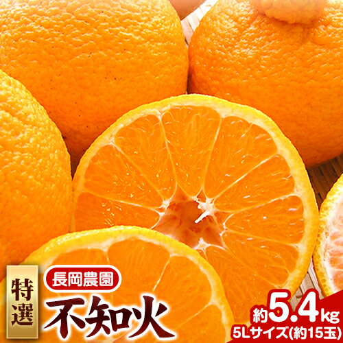 【ふるさと納税】特選 不知火 ( デコポン )と同品種 約5.4kg（5Lサイズ15玉） 長岡農園《2026年2月中旬-4月上旬頃出荷》和歌山県 日高川町 果物 フルーツ 柑橘 不知火 しらぬい デコポン と同品種 旬 柑橘 フルーツ 果物 約5.4kg 送料無料