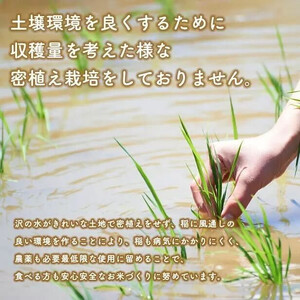 令和５年産秋田県産あきたこまち 家計お助け米5kg【こまちライン】