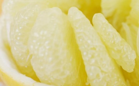 【先行予約】【発送期間:2027年3月上旬～なくなり次第終了】 土佐文旦 5kg 文旦