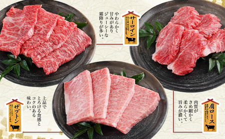 【数量限定】宮崎牛9種盛り焼肉セット(各600g×6P)_MC-3101_(都城市) 宮崎牛 ラムシン マルシン イチボ サーロイン ザブトン 肩ロース ショートリブ カルビ 内モモ ギフト 贈答用