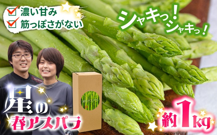 
            【2026年3月～発送】【選べる内容量】甘い！柔らかい！【星のアスパラ】厳選 グリーン アスパラガス 約1kg 約2kg / アスパラ あすぱら アスパラ あすぱら 厳選 あすぱらがす アスパラ 採れたて 新鮮 旬 産地直送 野菜 3L・2L・L・Mサイズ  ミックス / 南島原市 / ほしのYA [SEY001] [SEY002]
          