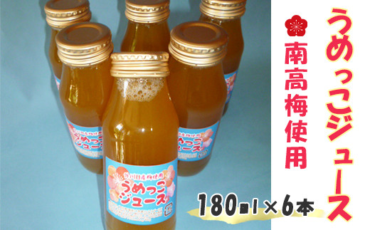 
【添加物不使用】うめっこ ジュース （南高梅）180ml×6本セット【1269】
