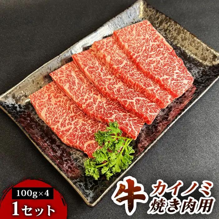 仙台牛カイノミ焼き肉用（100g×4パック） 1セット 仙台牛