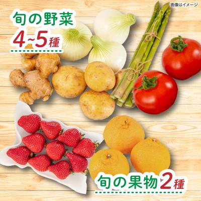 ふるさと納税 糸島市 【全4回定期便】糸島産 肉 米 野菜 果物 厳選詰め合わせ Mサイズ [AOP002] |  | 03