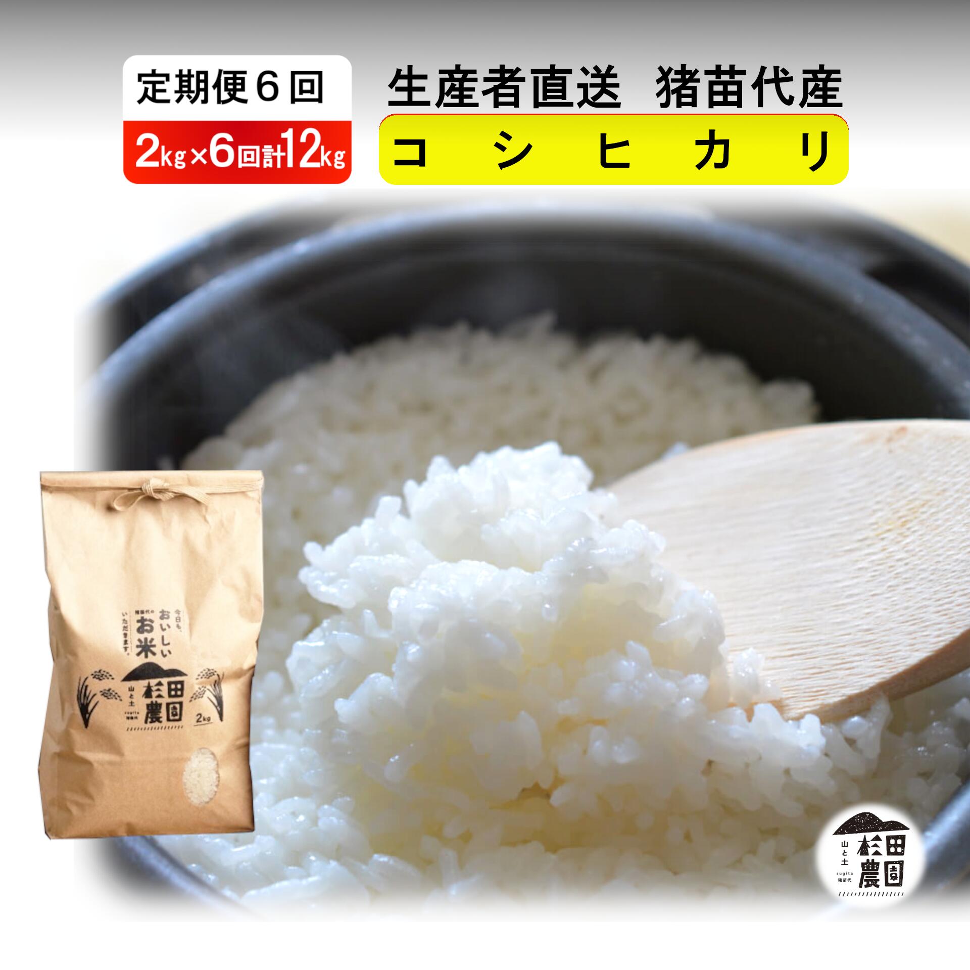 【ふるさと納税】【定期便 6回】【令和7年度産 新米予約】 米 コシヒカリ 12kg(2kg×6回) 白米 精米 ※2025年11月下旬頃より順次発送予定 ※沖縄・離島への配送不可