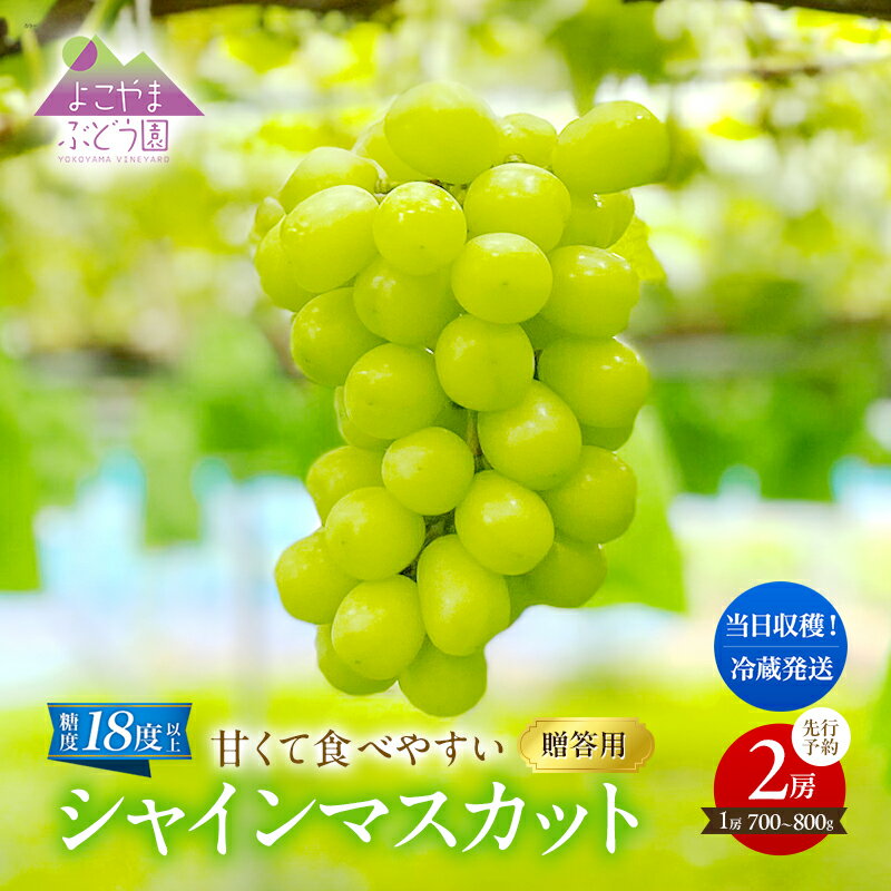 【ふるさと納税】先行予約 [贈答用/熨斗なし化粧箱] 甘く食べやすい シャインマスカット 2房（1房 700～800g）＜出荷時期：2025年9月下旬～10月上旬ごろ＞数量限定 期間限定 果物 フルーツ ぶどう ブドウ マスカット ギフト　お届け：2025年10月上旬～2025年10月中旬