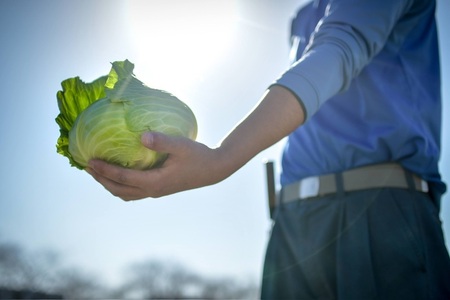 a30-312　【定期便 全4回】ジモベジ 野菜 ハーフセット