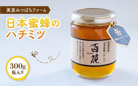 日本蜜蜂のハチミツ（300g）はちみつ みつばち 天然 日本蜂蜜 蜂蜜【mmfm002】
