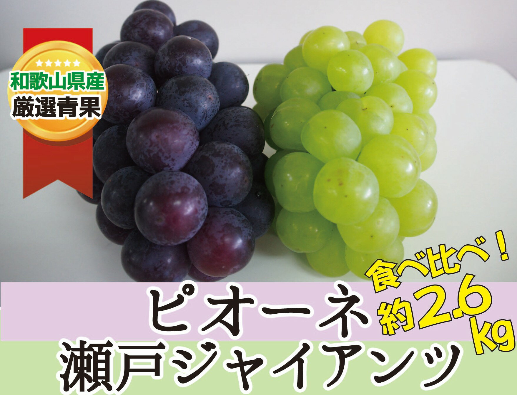 【ふるさと納税】ピオーネ＆瀬戸ジャイアンツ 約2.6kg ★食べ比べ★【2026年8月下旬～2026年9月上旬頃順次発送】/ 和歌山県 かつらぎ町 産地直送 マスカット ぶどう 葡萄 甘い ジューシー ピオーネ 高糖度 2026年【A237-frks133】