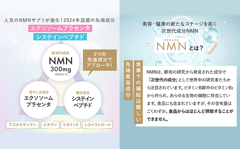 ハルクファクター NMN 9300mg 大容量 31日分 エイジングケア サプリメント 抗酸化 ビタミンC サプリ レスベラトロール プラセンタ アスタキサンチン マルチビタミン 栄養機能食品 国産 