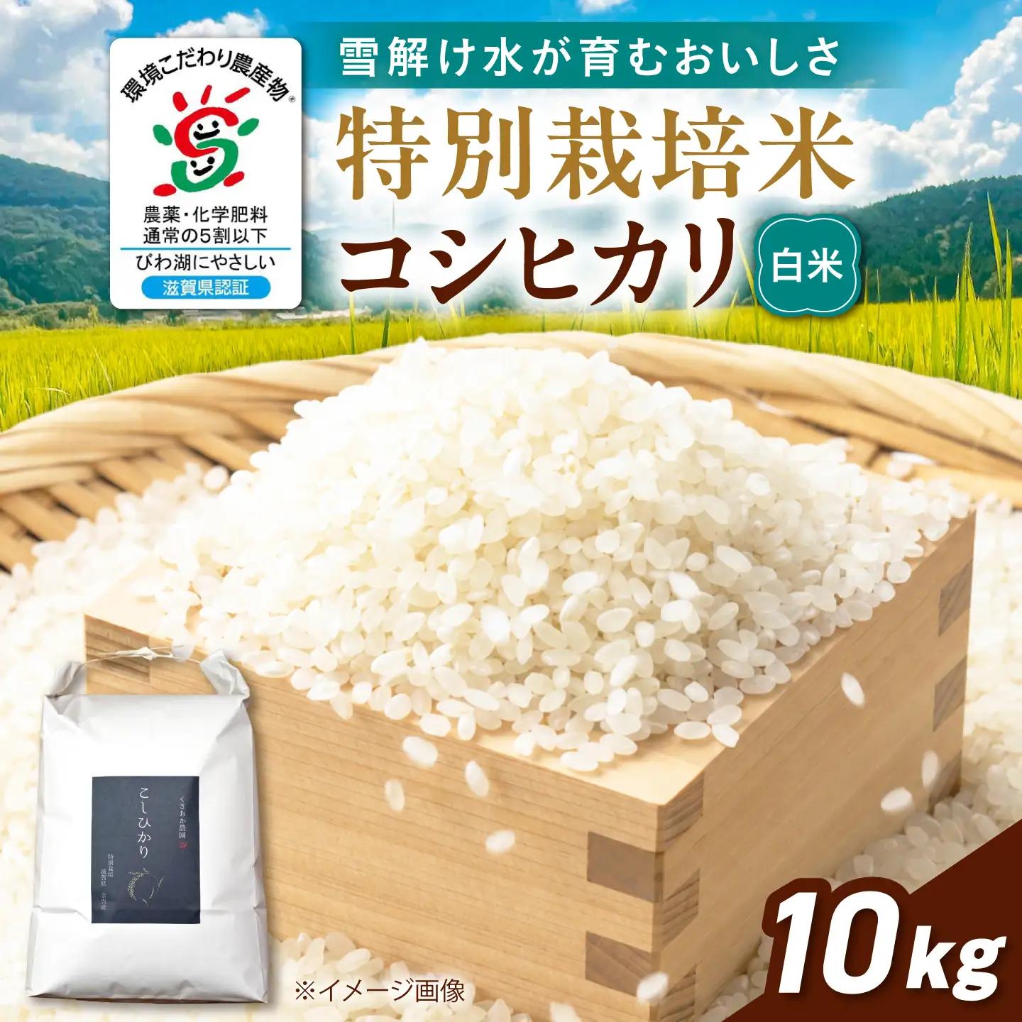 特別栽培米コシヒカリ10kg 白米 滋賀県長浜市/くさおか農園[AQEB003]