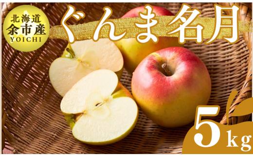 【先行受付：2025年11月上旬以降発送】余市産 ぐんま名月 松村農園産のりんご 5kg