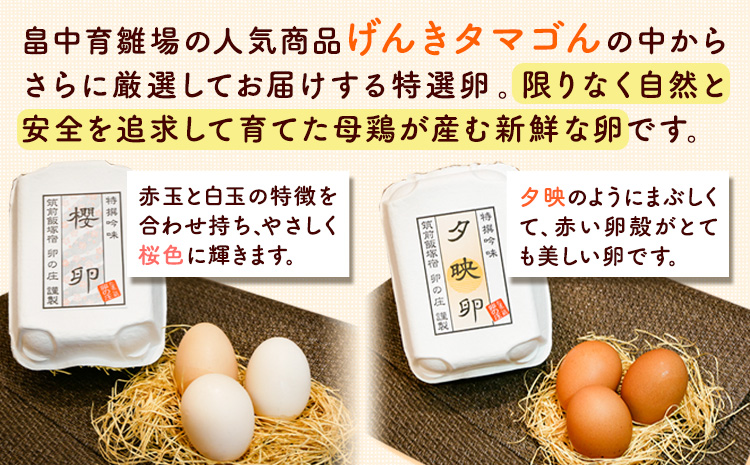 特選卵とカステラの詰め合わせA 《30日以内に出荷予定(土日祝除く)》卵 カステラ かすてら 詰め合わせ 有限会社畠中育雛場---isc_chnistumea_30d_22_13000_4p---