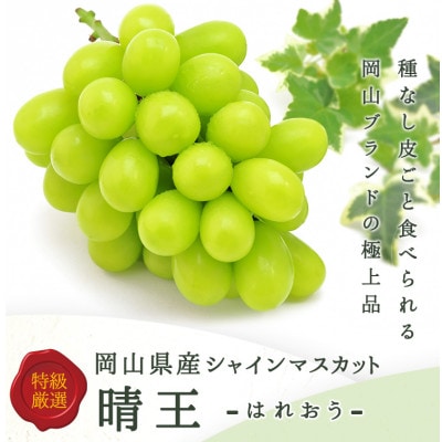 【先行受付】岡山県産 シャインマスカット『晴王』 3～5房 (約2kg)【配送不可地域：離島・北海道・沖縄】【1499103】