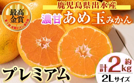 i1059-D ＜先行予約受付中！2025年11月中旬～2026年1月下旬の間に発送予定＞【特別栽培・最高金賞】温州みかん日本一！濃甘あめ玉みかん～プレミアム 紡ぎ～(約2kg・2Lサイズ) みかん 蜜柑 ミカン 柑橘 果物 フルーツ 果実 国産 鹿児島 プレミアム 厳選 ギフト プレゼント 贈答用 贈り物 【Farmer friends Marche】