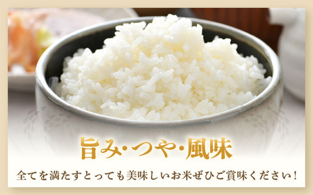【令和5年産】特別栽培米いっちょらい 精米 5kg×2袋（計10kg）／ 福井県産 ブランド米 コシヒカリ ご飯 白米 新鮮 大賞 受賞