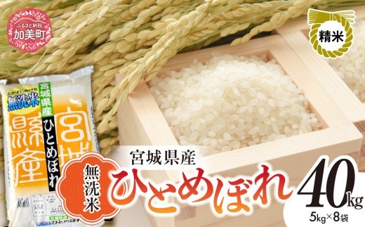 【新米予約】無洗米 令和8年産 宮城 ひとめぼれ 40kg（5kg×8袋） ｜ 菅原精米工業 宮城県 加美町 sw-hb40-mu-r8 ｜ ヒトメボレ 米 お米 コメ ごはん