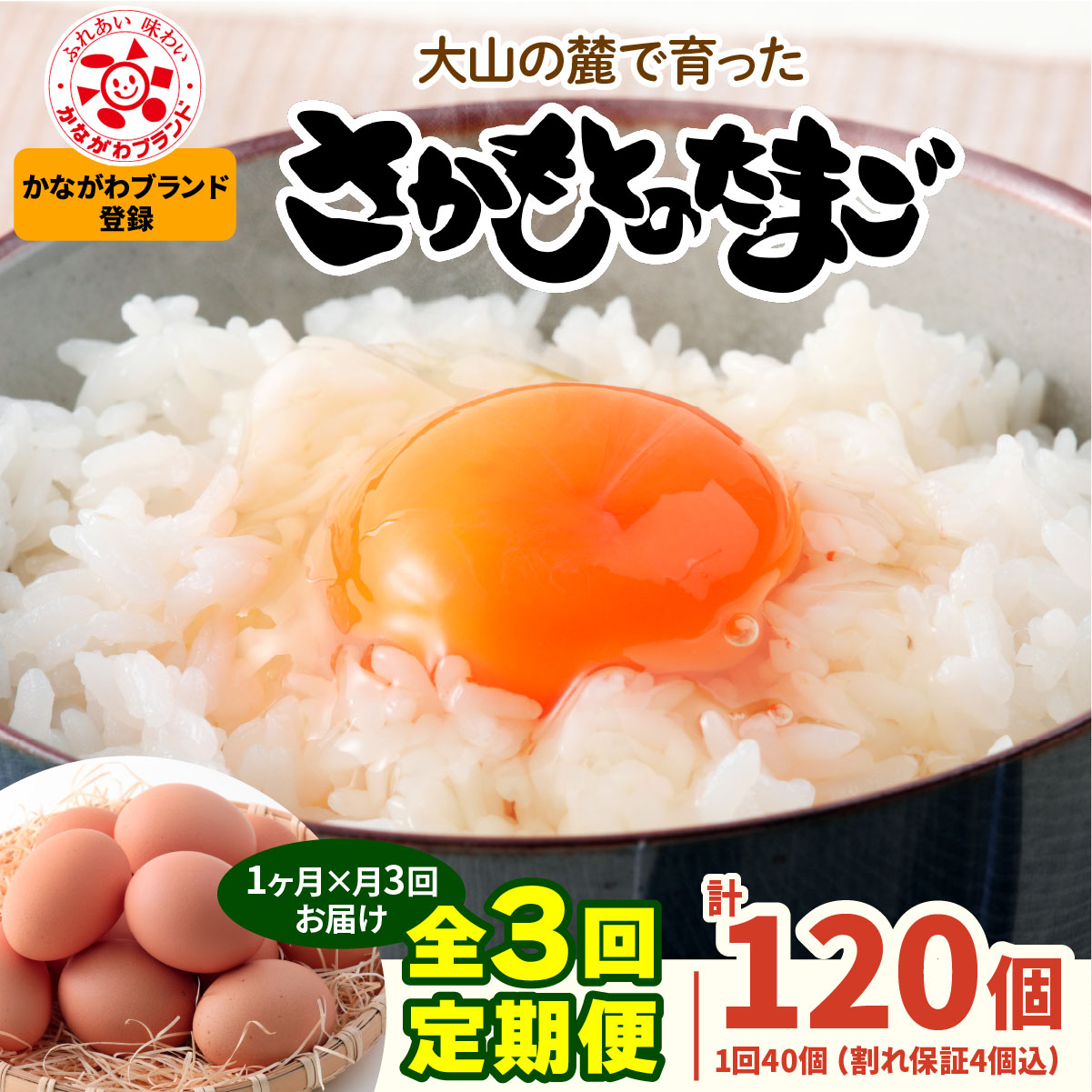 [定期便／1ヶ月×月3回] さかもとのたまご 40個 (36個＋割れ保証4個) 合計120個｜坂本養鶏 大山の麓で育ったさかもとのたまご 赤玉卵 玉子 鶏卵 伊勢原市 赤玉卵 玉子 生卵 国産 TKG タマゴ 新鮮 大山 鶏 ギフト 安心 安全 親子丼 卵焼き 目玉焼き お菓子 [1339]