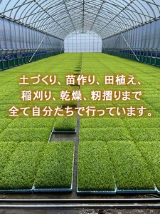 【3ヶ月定期便】【射水市】【ライスファーマー山上】【農家直送】【射水の美味しいお米】R8年産コシヒカリ5kg【精米】 ※2026年10月上旬～10月下旬頃に順次発送予定 ※離島への配送不可